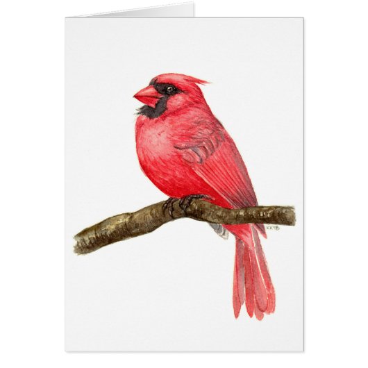 Cardinal bird watercolor cards (Front)