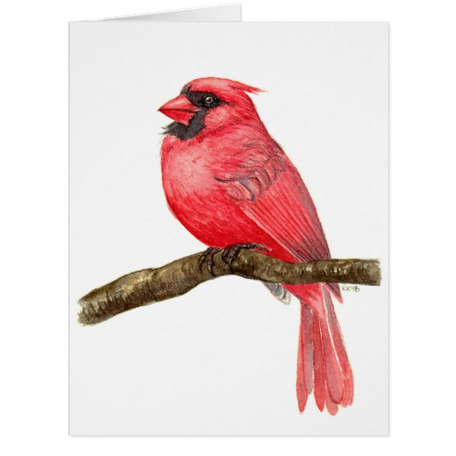 Cardinal bird watercolor cards (Front)