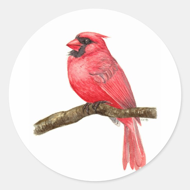 Cardinal bird watercolor classic round sticker (Front)