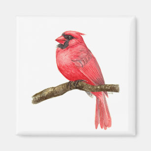 Cardinal bird watercolor magnet