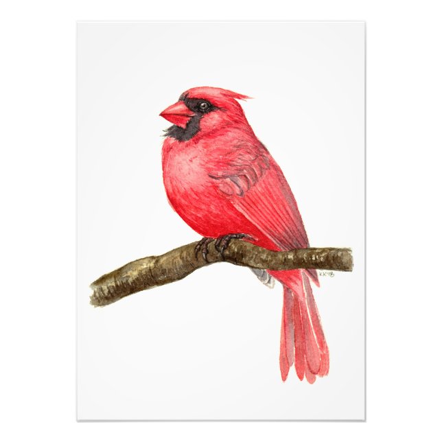 Cardinal bird watercolor photo print (Front)
