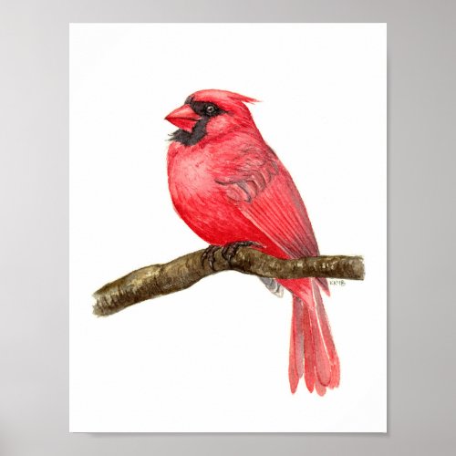 Cardinal bird watercolor poster