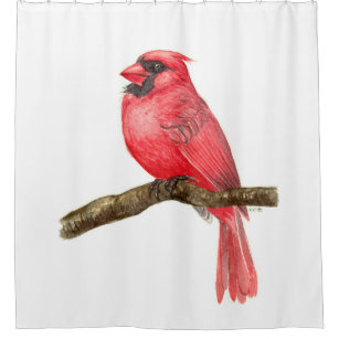 Cardinal bird watercolor shower curtain