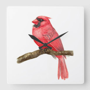 Cardinal bird watercolor square wall clock