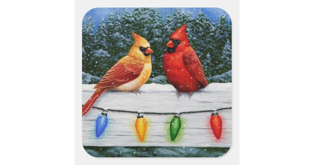 Christmas Birds Chickadee Cardinals Blue Bird Houses Christmas Greeting  Card NEW