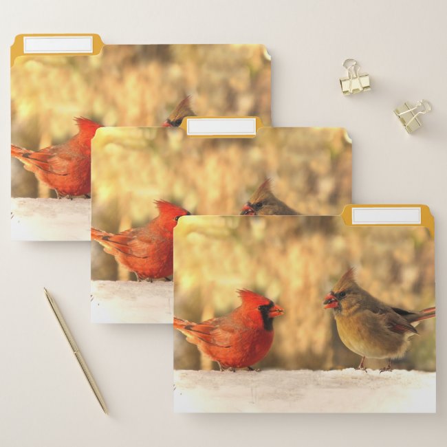 Cardinal Birds in Autumn File Folder Set