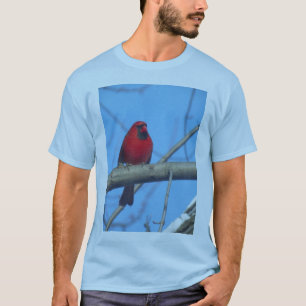 Cardinal Birds T-Shirt