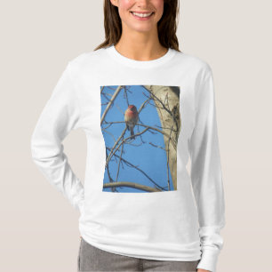 Cardinal Birds T-Shirt