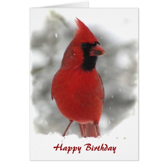 Cardinal Birthday Card | Zazzle.com