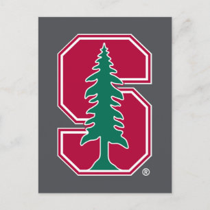 Cardinal Block "S" with Tree Postcard
