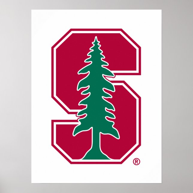 Cardinal Block "S" with Tree Poster (Front)