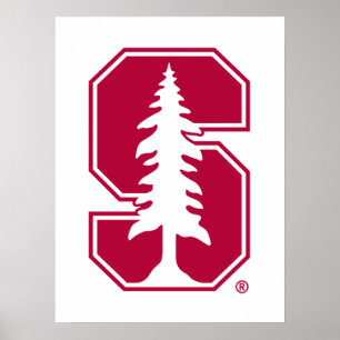 Cardinal Block "S" with Tree Poster