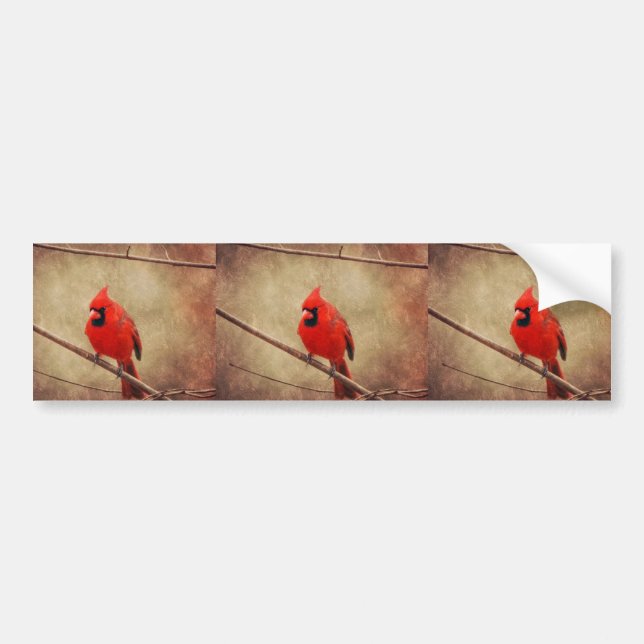 Cardinal Bumper Sticker (Front)
