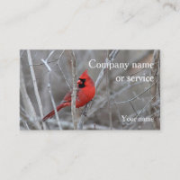 Cardinal