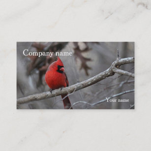 Cardinal Business Card