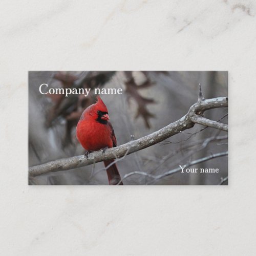 Cardinal Business Card