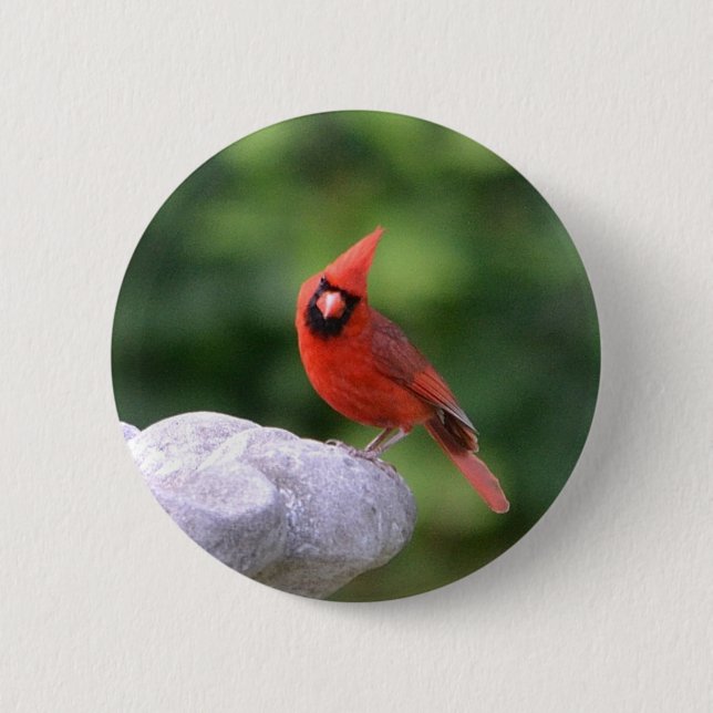 Cardinal Button (Front)