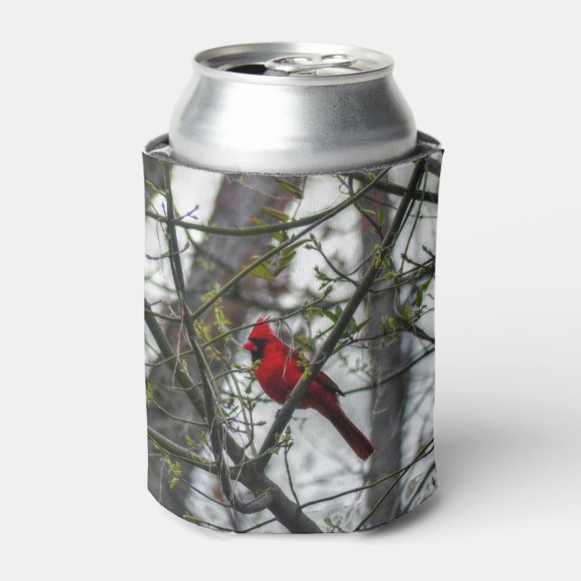 Cardinal Can Cooler (Can Front)