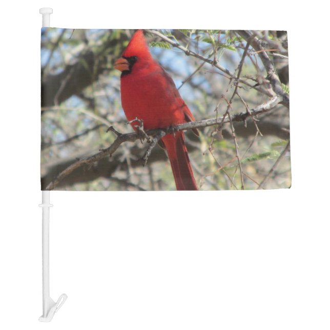 Cardinal Car Flag (Front)