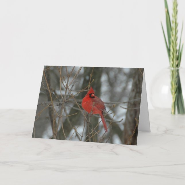Cardinal Card (Front)