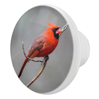 Cardinal Ceramic Knob