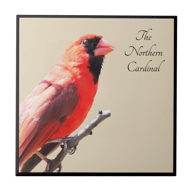 Cardinal Ceramic Tile (Front)