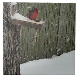 Cardinal Ceramic Tile