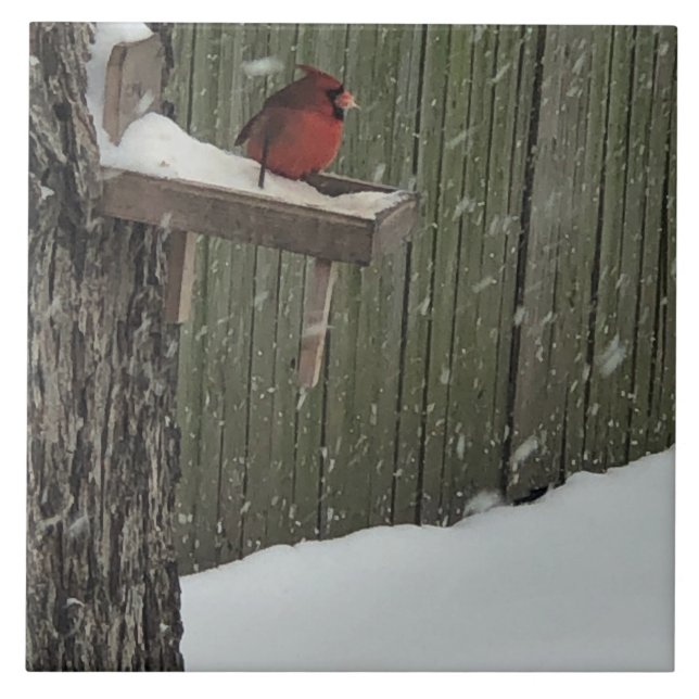 Cardinal Ceramic Tile (Front)