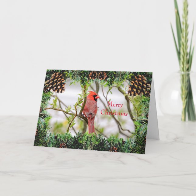Cardinal Christmas Card (Front)