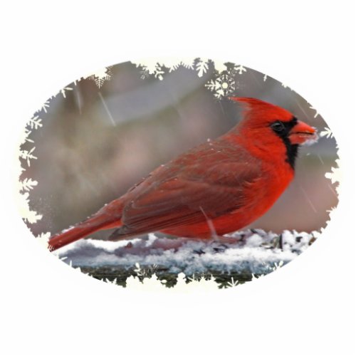 Cardinal Christmas Hanging Acrylic Cutout