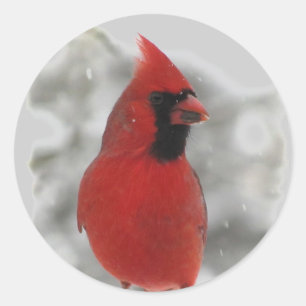 Cardinal Classic Round Sticker