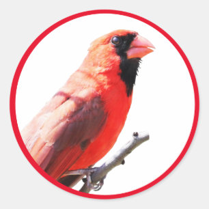Cardinal Classic Round Sticker