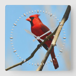 Cardinal Clock by Julie Everhart