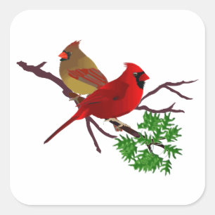 Cardinal Couple on a Branch Square Sticker