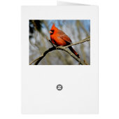 Cardinal Crest Card (Back)