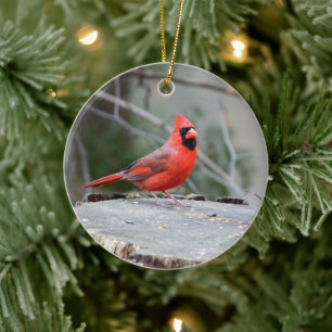 Cardinal Crest Ceramic Ornament