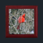 Cardinal Crest Wood Gift Box<br><div class="desc">Cheery bright cardinal shows off red feathered crest,  featured on premium wood gift box. Available in black,  golden oak and mahogany woods. Ideal gift idea alone,  or to present a truly special gift inside!</div>