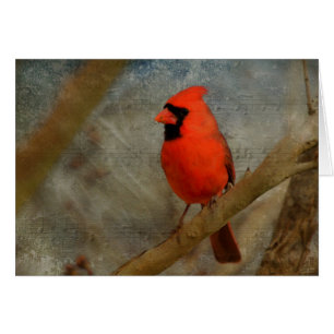 Cardinal Digital Art Cards