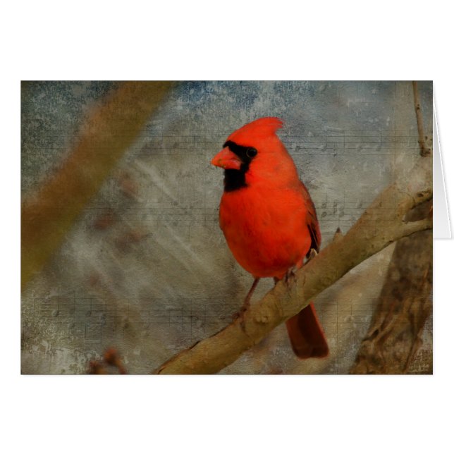 Cardinal Digital Art Cards (Front Horizontal)