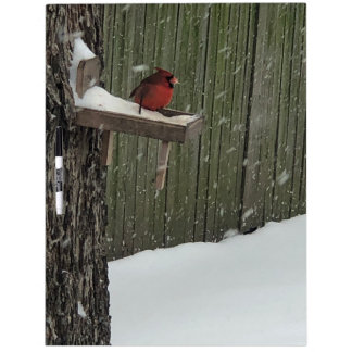Cardinal Dry Erase Board