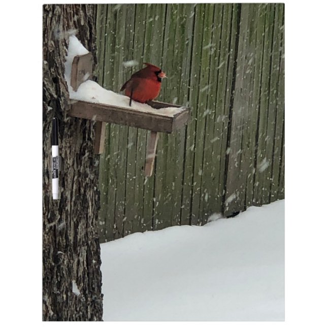 Cardinal Dry Erase Board (Front)