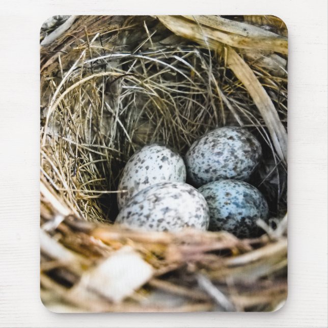 Cardinal Egg Mousepad (Front)