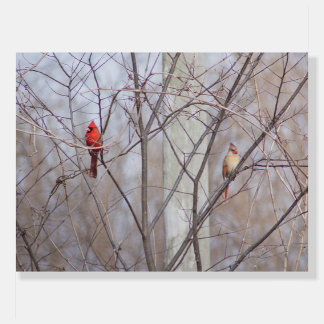 Cardinal family foam board