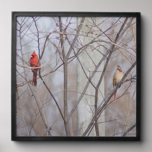 Cardinal family peel and stick photo tile