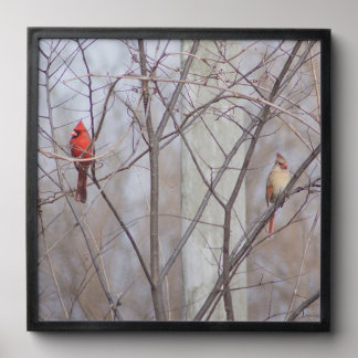 Cardinal family peel and stick photo tile