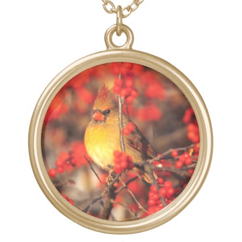 Cardinal female and red berries IL Gold Plated Necklace