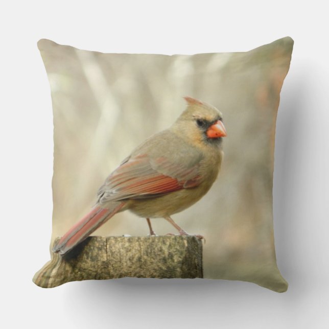 Cardinal ( Female) on Post Pillow (Front)