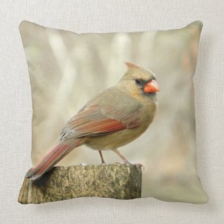 Cardinal ( Female) on Post Pillow