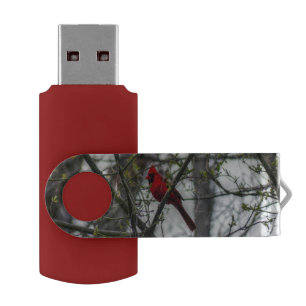 Cardinal Flash Drive
