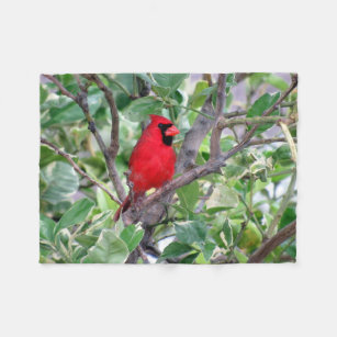 Male Cardinal Bird Fleece Blanket